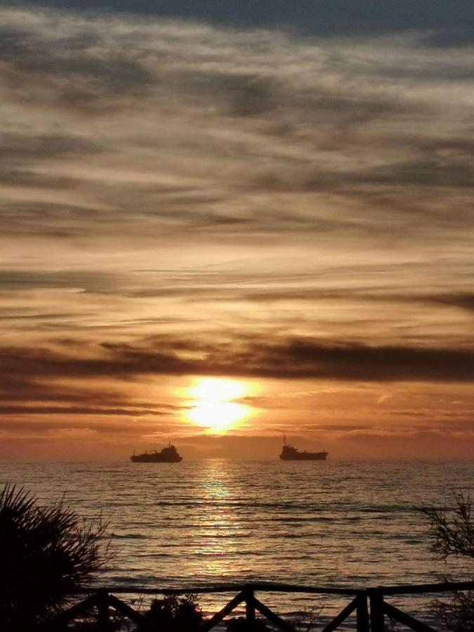 Essenza Del Mare Home Livorno Dış mekan fotoğraf