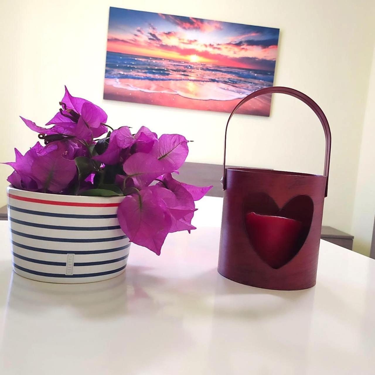 Essenza Del Mare Home Livorno Dış mekan fotoğraf